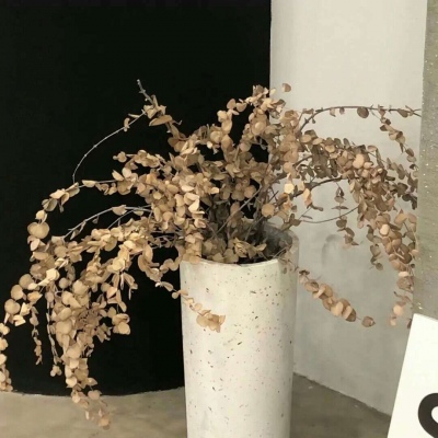 兽设黄昏场景创作兽圈群